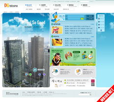 单独开发网站样式