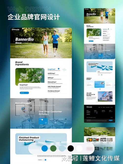 2025年初总结 国内十大顶级网站建设公司最新排行