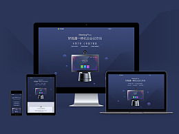 广州网络公司 广州网站改版,网页设计制作