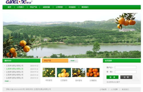 网站建立好却没有效果的缘由是什么