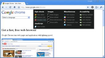 用于网页设计开发的google chrome扩展