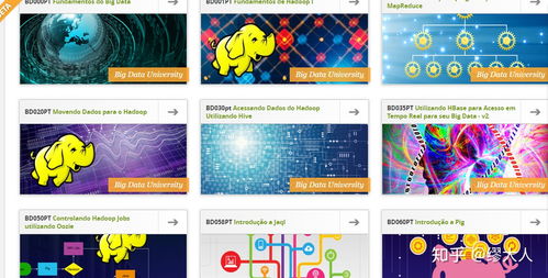 有哪些值得推荐的学习网站