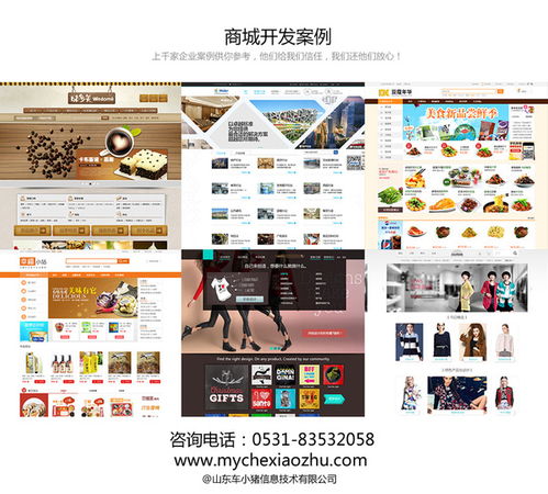 德州商城网站设计开发 seo策划案