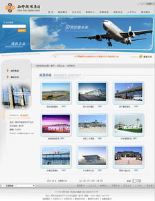 西部机场集团 咨询 旅游 生活 医疗 企业宣传 案例展示 硅峰网络 网站设计 软件开发 微信建设,西安最专业的企业信息化建设网络公司