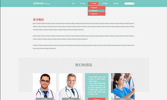 天津网站设计之医疗器械官网